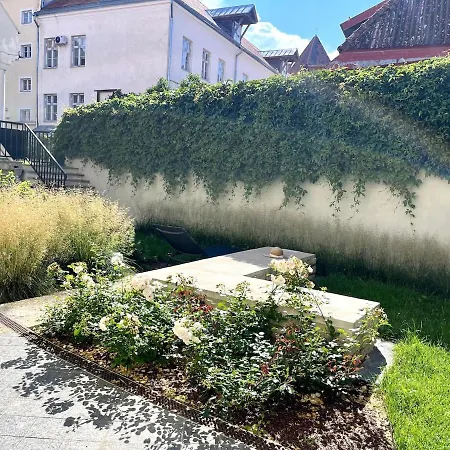 Апартаменты Old Town Luxury *